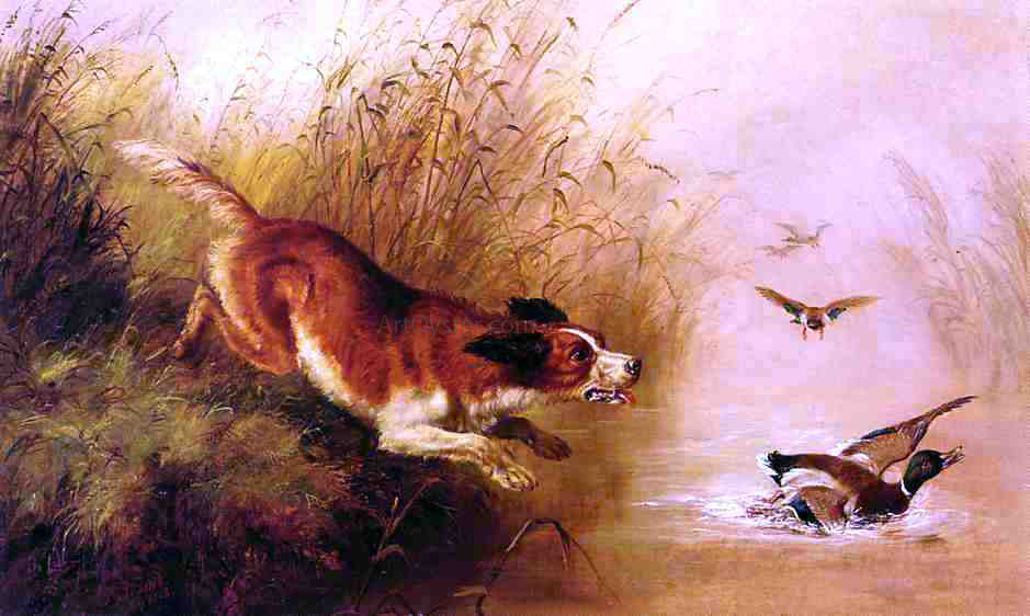  Arthur Fitzwilliam Tait Spaniel Chasing Ducks - Hand Painted Oil Painting