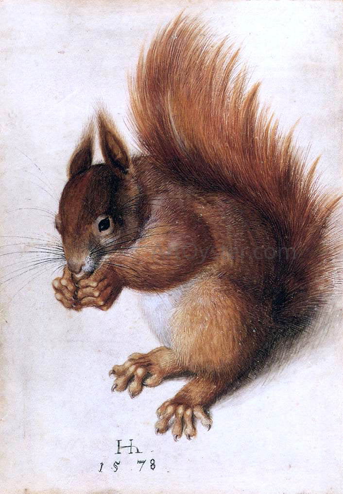 Hans Hoffmann A Squirrel - Hand Painted Oil Painting