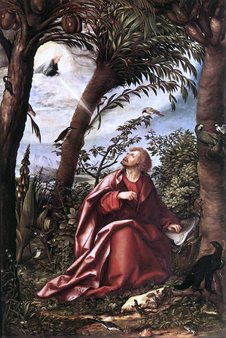 Hans Burgkmair St John the Evangelist in Patmos - Hand Painted Oil Painting