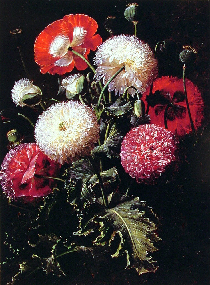 Johan Laurentz Jensen Still Life with Pink, Red and White Poppies - Hand Painted Oil Painting