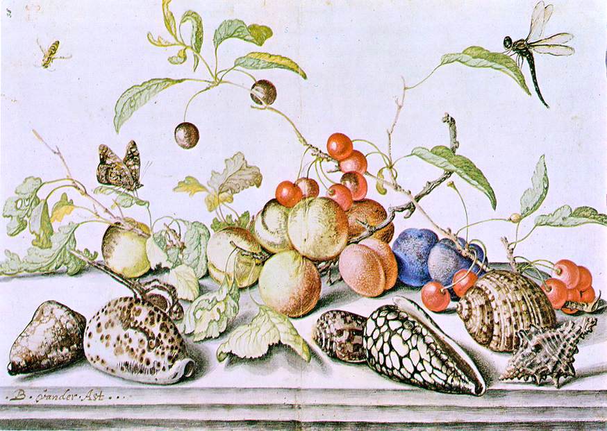 Balthasar Van der Ast Still-Life - Hand Painted Oil Painting