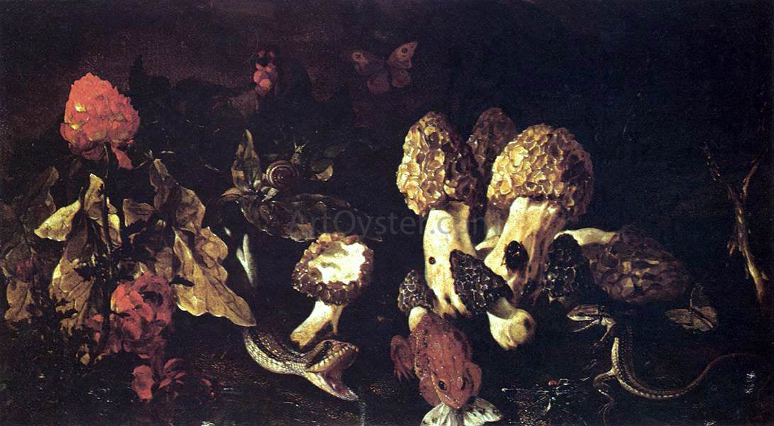 Paolo Porpora Still-Life with Fungi - Hand Painted Oil Painting