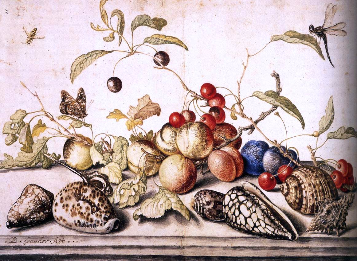 Balthasar Van der Ast Still-Life with Plums, Cherries, and Shells - Hand Painted Oil Painting