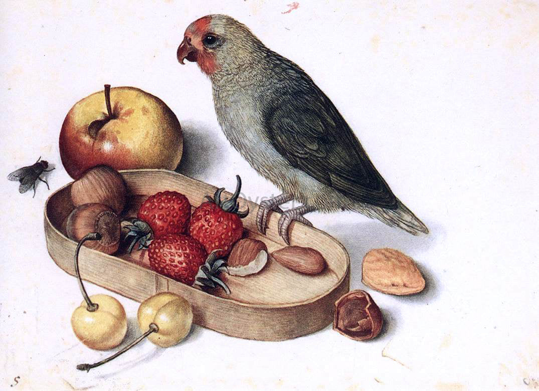  Georg Flegel Still-Life with Pygmy Parrot - Hand Painted Oil Painting