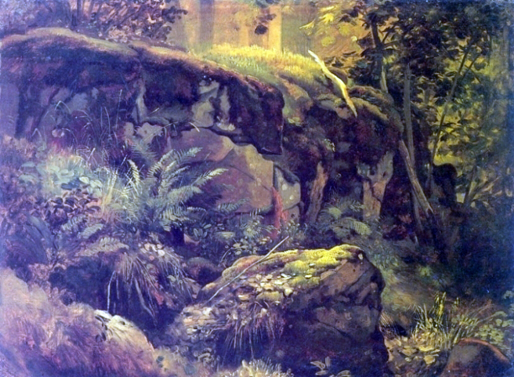  Ivan Ivanovich Shishkin Stones in the forest, Valaam (etude) - Hand Painted Oil Painting