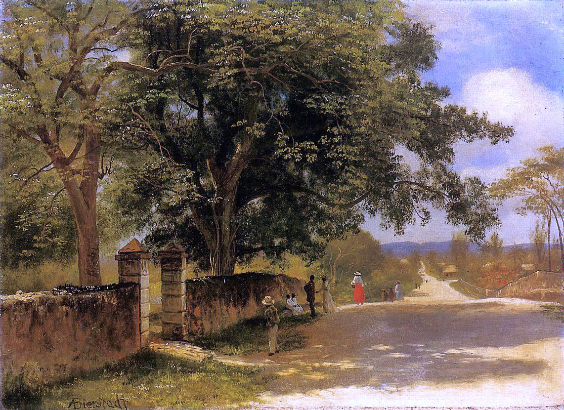 Albert Bierstadt Street in Nassau - Hand Painted Oil Painting