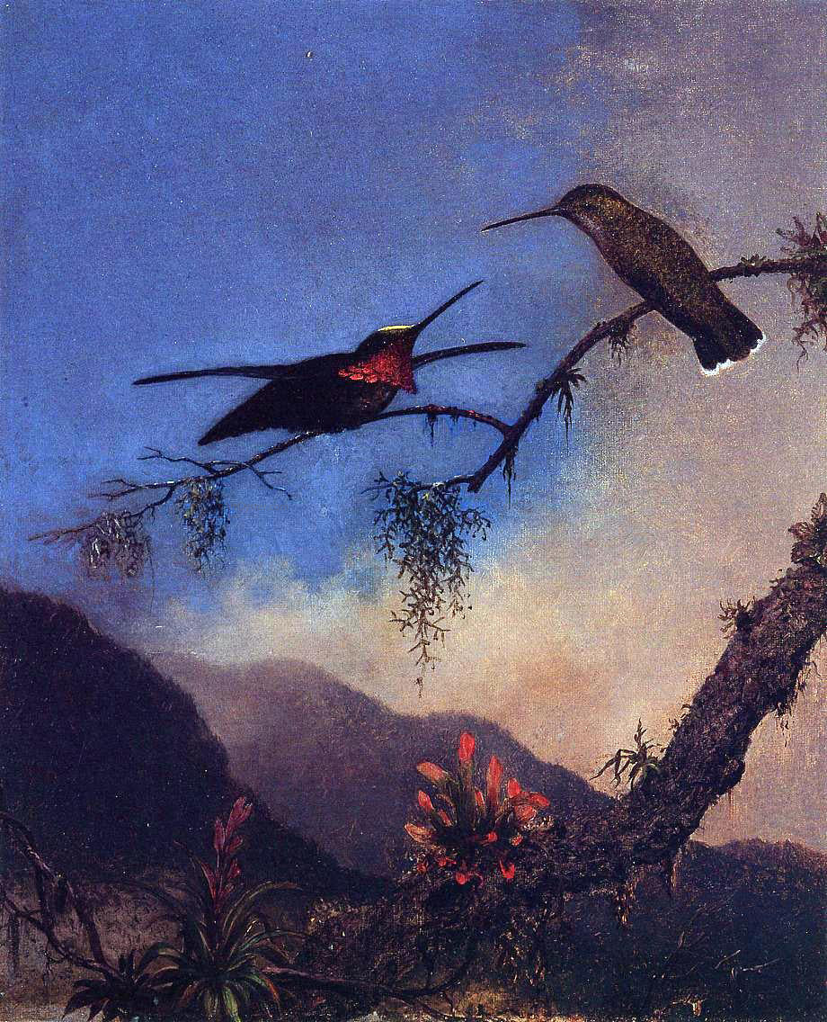 Martin Johnson Heade Strip-Breasted Starthroat - Hand Painted Oil Painting