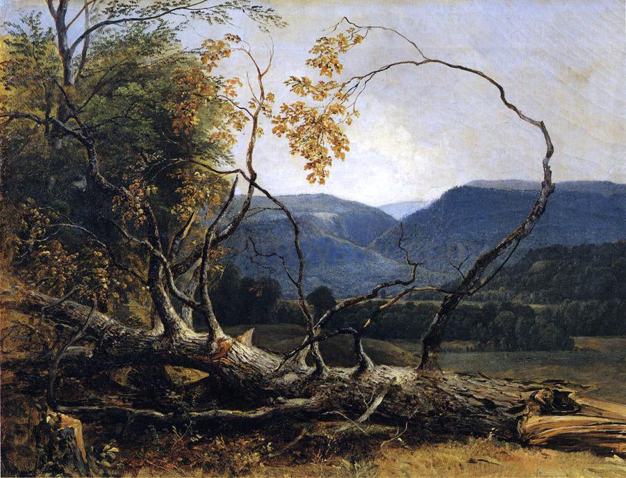 Asher Brown Durand Study from Nature, Stratton Notch, Vermont - Hand Painted Oil Painting