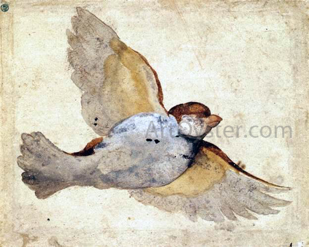 Giovanni Da Udine Study of a Flying Sparrow - Hand Painted Oil Painting