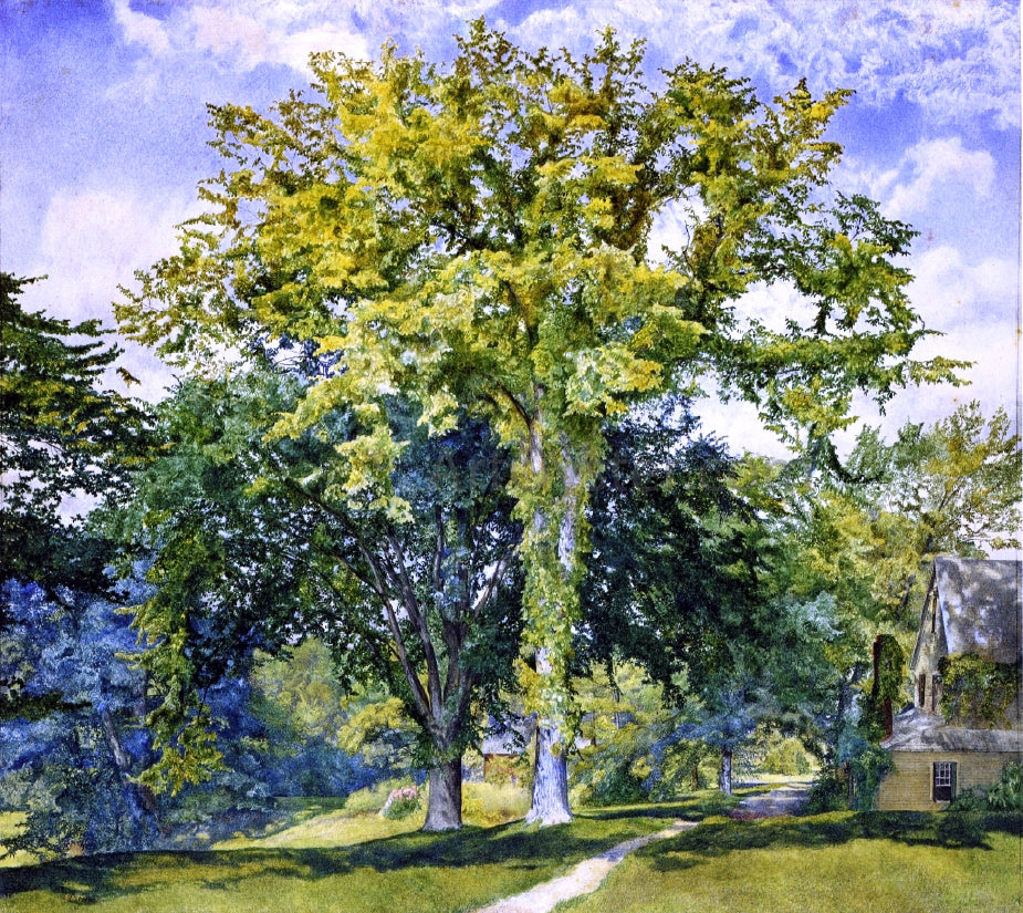 Henry Roderick Newman Study of Elms - Hand Painted Oil Painting