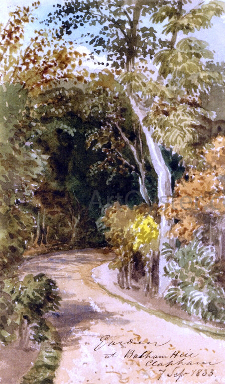 Thomas Lindsay Study of Trees in South-West London - Hand Painted Oil Painting