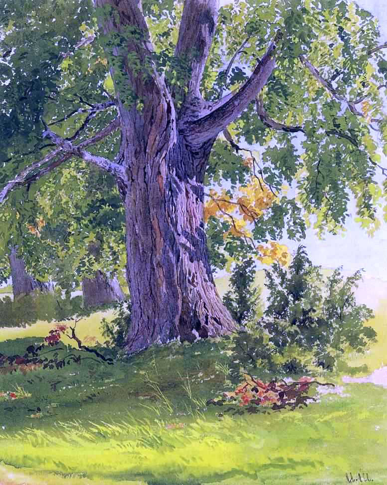 Ivan Ivanovich Shishkin Sunny Oak - Hand Painted Oil Painting