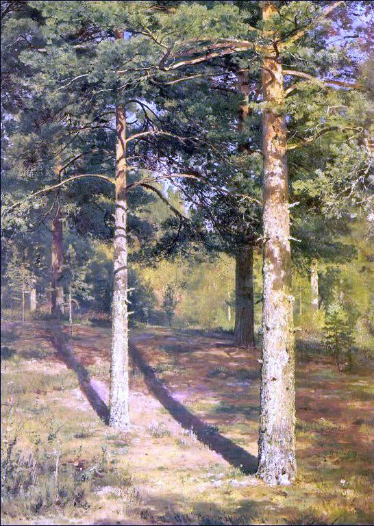 Ivan Ivanovich Shishkin Sunny Pine-Tree (etude) - Hand Painted Oil Painting