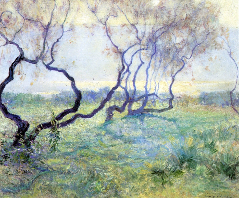 Guy Orlando Rose Tamarisk Trees in Early Sunlight - Hand Painted Oil Painting