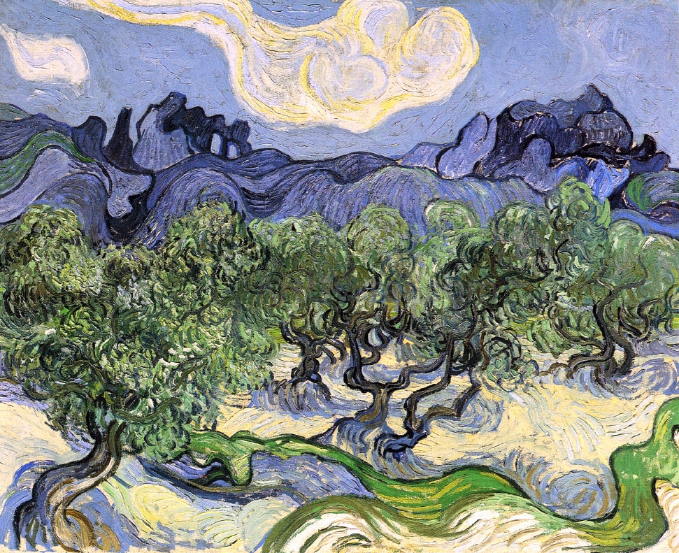 Vincent Van Gogh The Alpilles with Olive Trees in the Foreground - Hand Painted Oil Painting