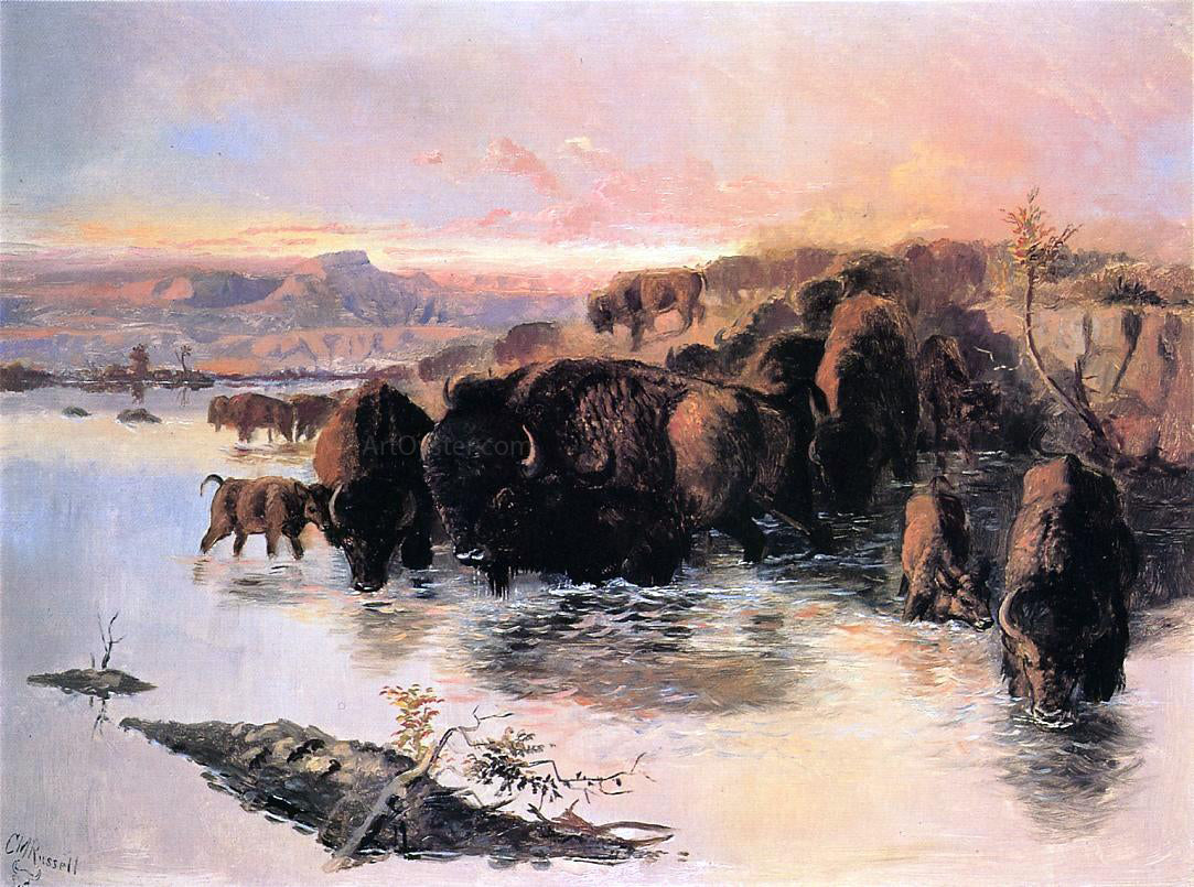 Charles Marion Russell The Buffalo Herd - Hand Painted Oil Painting