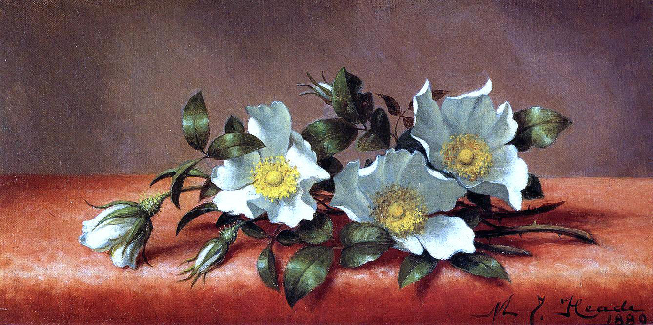 Martin Johnson Heade The Cherokee Rose - Hand Painted Oil Painting