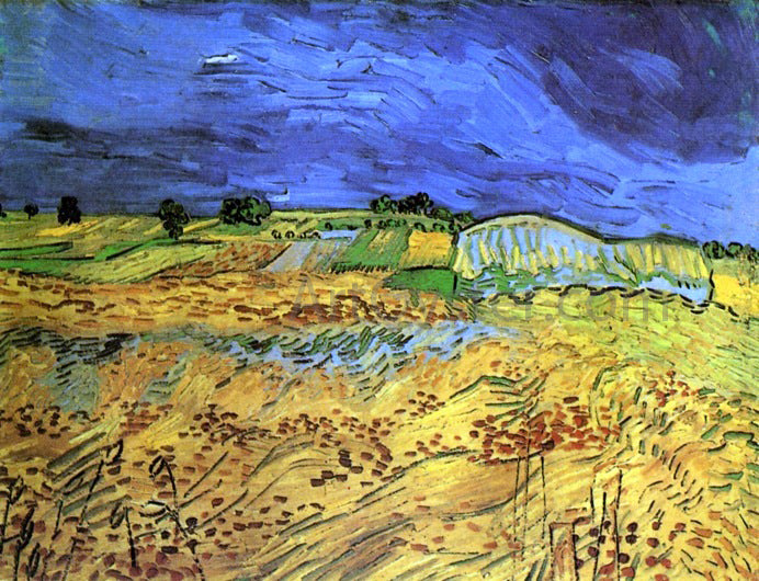 Vincent Van Gogh The Fields - Hand Painted Oil Painting