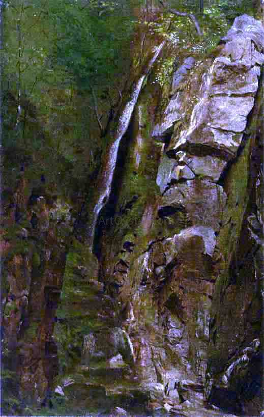 Alexander Helwig Wyant The Gorge - Hand Painted Oil Painting