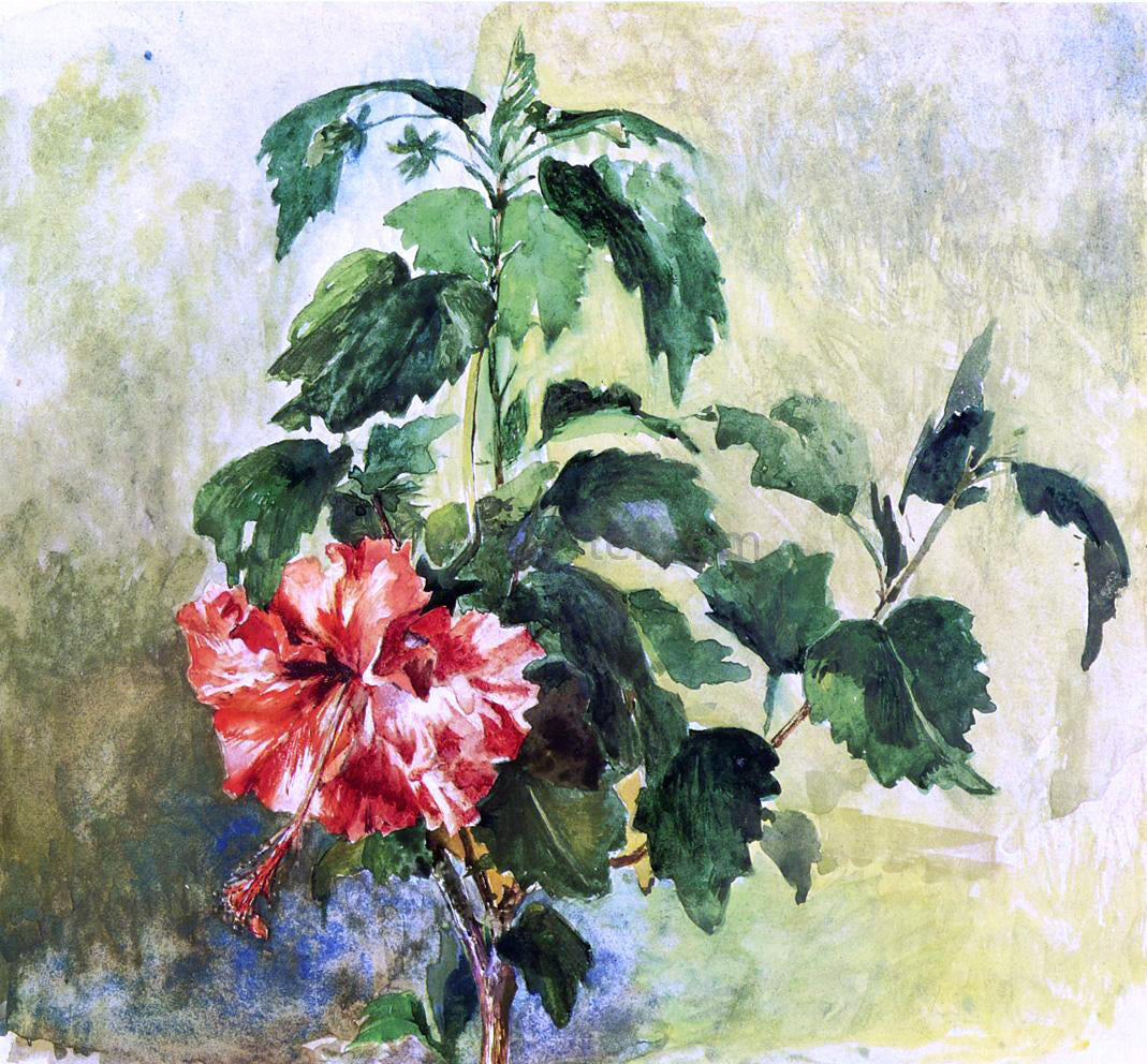 John La Farge The Hibiscus, Tahiti, Society Islands, 1891 - Hand Painted Oil Painting