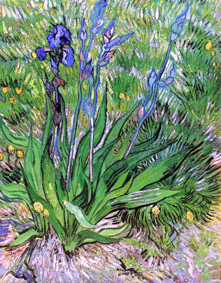  Vincent Van Gogh The Iris - Hand Painted Oil Painting