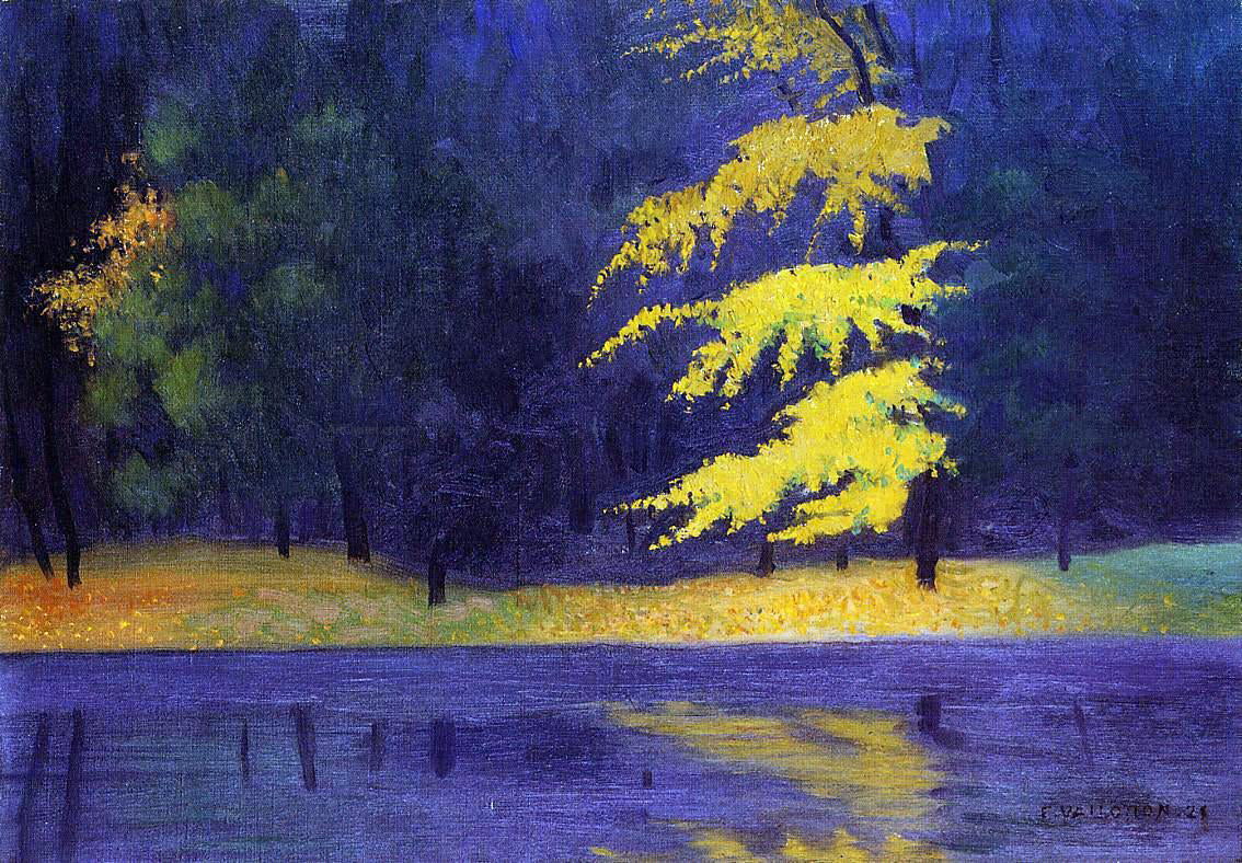 Felix Vallotton The Lake in the Bois de Boulogne - Hand Painted Oil Painting