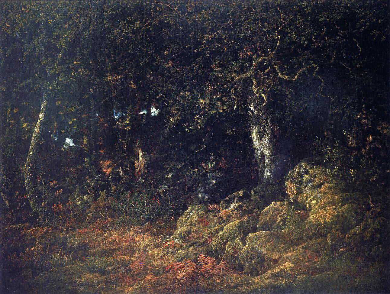  Theodore Rousseau The Oak in the Rocks - Hand Painted Oil Painting