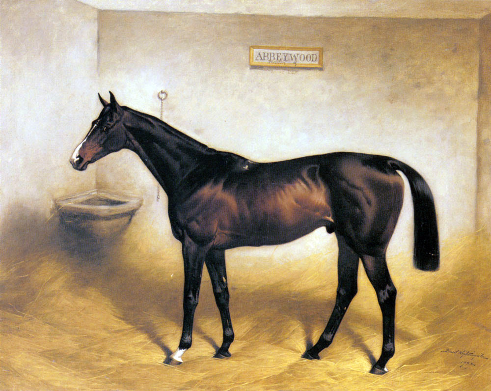 Basil Nightingale The Racehorse Abbeywood In A Stable - Hand Painted Oil Painting