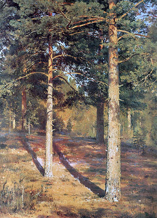 Ivan Ivanovich Shishkin The Sun-lit Pines - Hand Painted Oil Painting