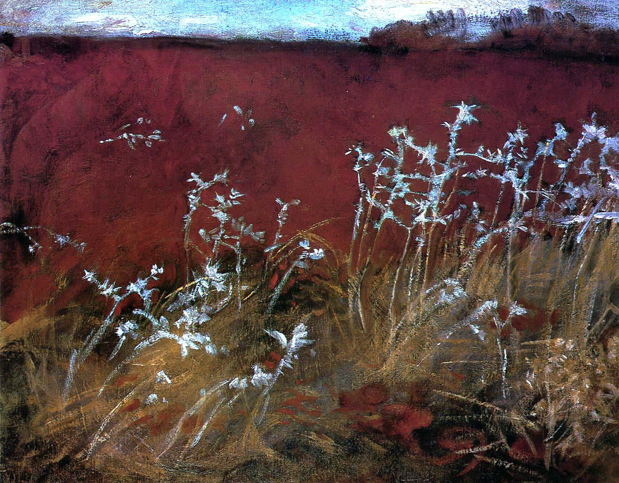 John Singer Sargent Thistles - Hand Painted Oil Painting
