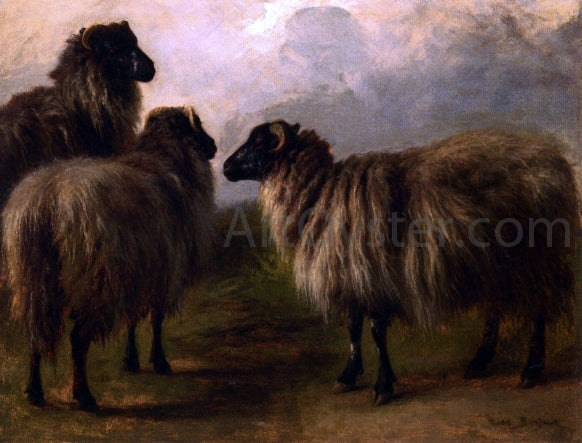  Rosa Bonheur Three Wooly Sheep - Hand Painted Oil Painting