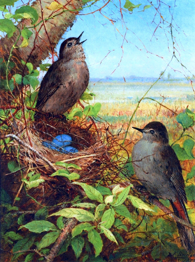 Fidelia Bridges Thurshes Nest - Hand Painted Oil Painting
