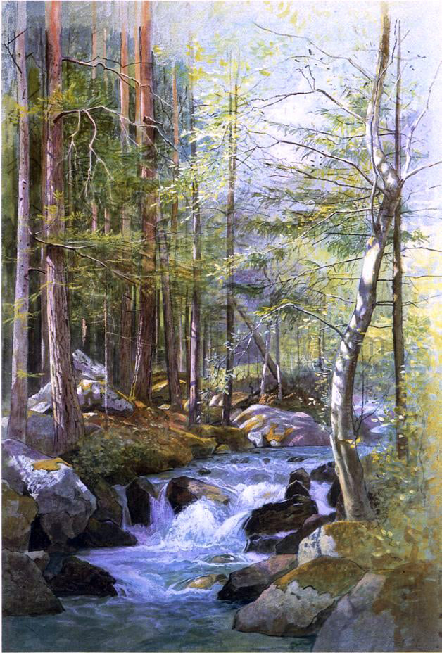 William Stanley Haseltine Torrent in Wood behind Mill Dam, Vahrn near Brixen, Tyrol - Hand Painted Oil Painting