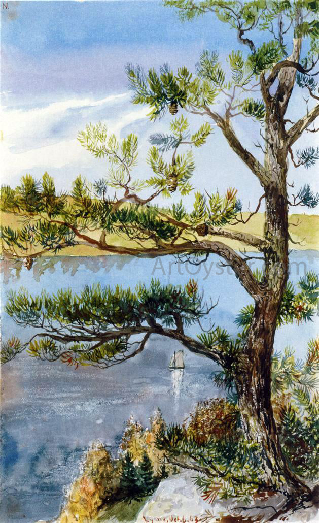 Charles De Wolf Brownell Tree and Sailboat, Lyme, Connecticut - Hand Painted Oil Painting