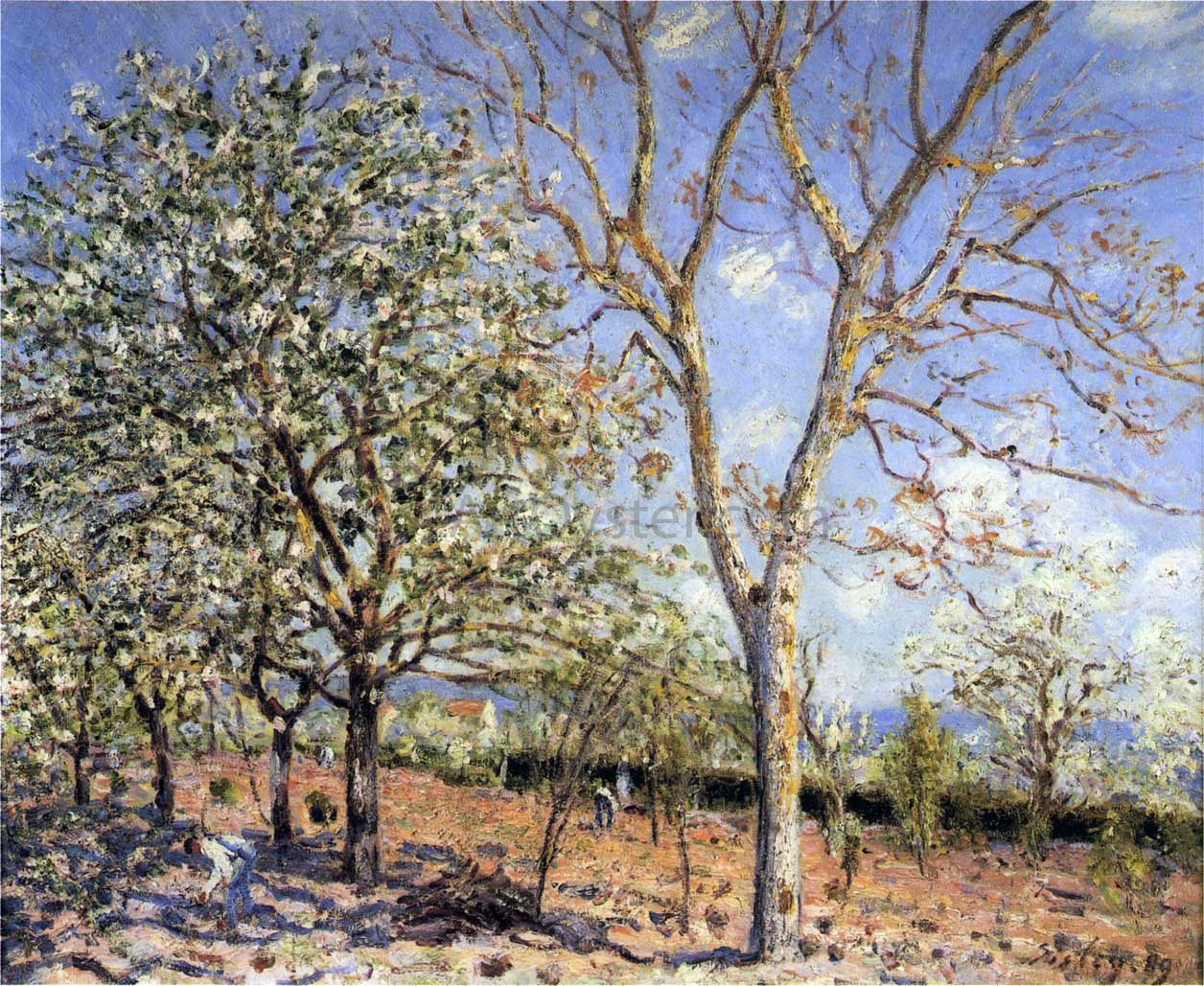 Alfred Sisley Trees in Bloom - Hand Painted Oil Painting