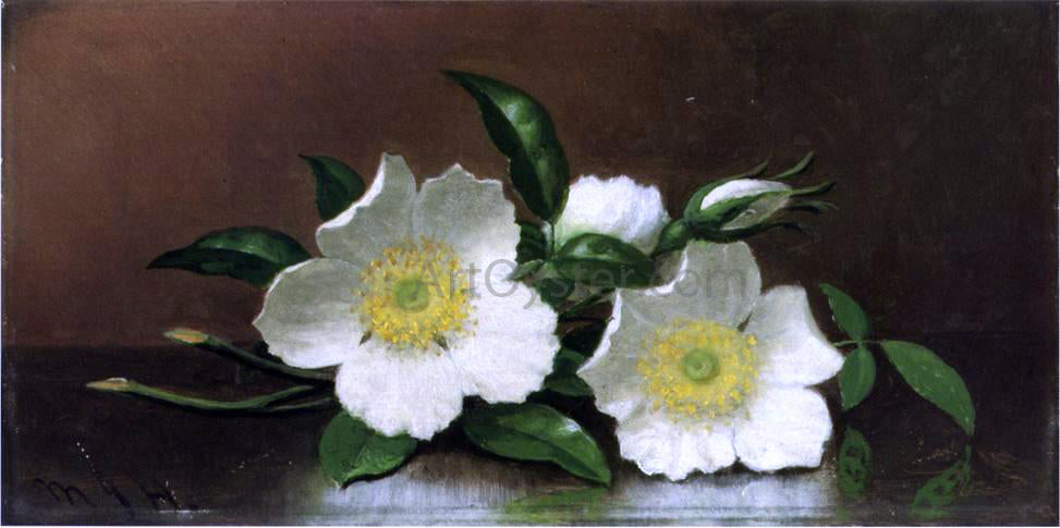 Martin Johnson Heade Two Cherokee Rose Blossoms on a Table (also known as Cherokee Roses) - Hand Painted Oil Painting