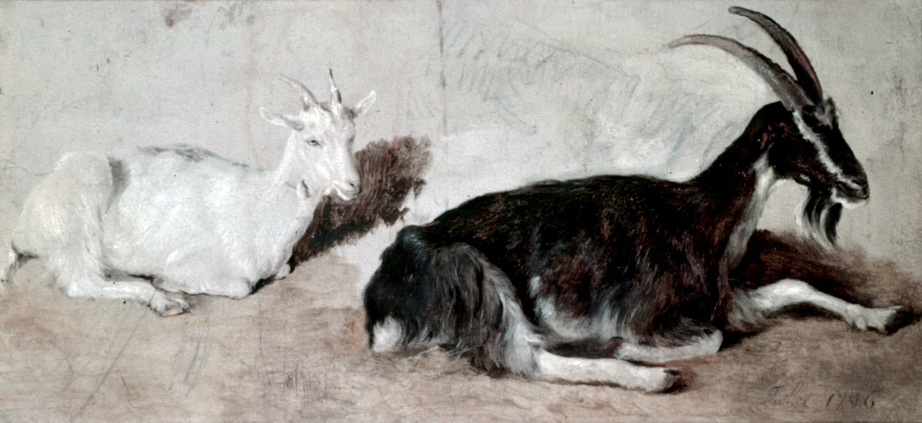 Jacques-Laurent Agasse Two Goats - Hand Painted Oil Painting