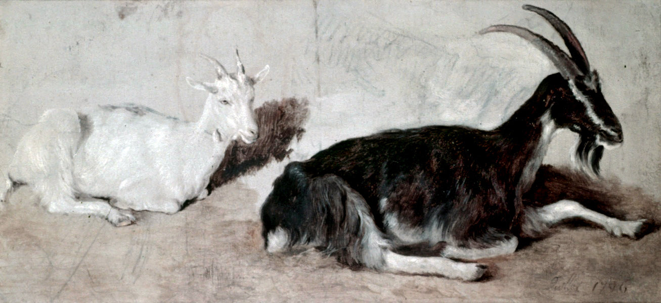  Jacques-Laurent Agasse Two Goats - Hand Painted Oil Painting