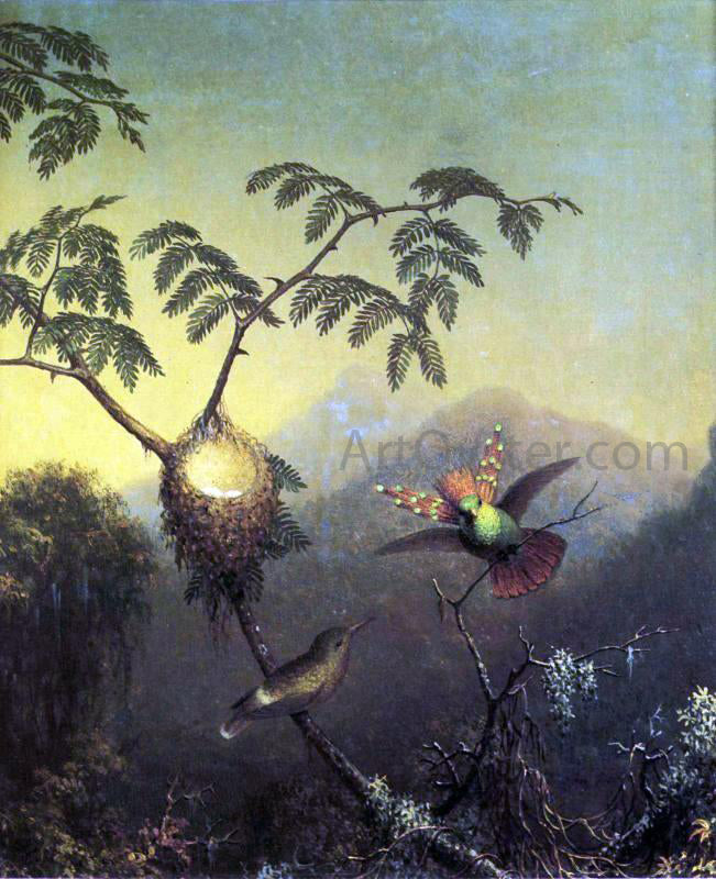 Martin Johnson Heade Two Hummingbirds: Tufted Coquettes - Hand Painted Oil Painting