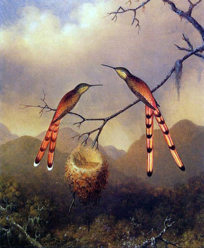 Martin Johnson Heade Two Hummingbirds with Their Young - Hand Painted Oil Painting