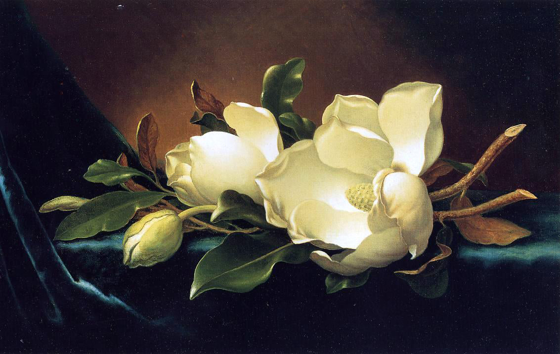 Martin Johnson Heade Two Magnolias and a Bud on Teal Velvet - Hand Painted Oil Painting
