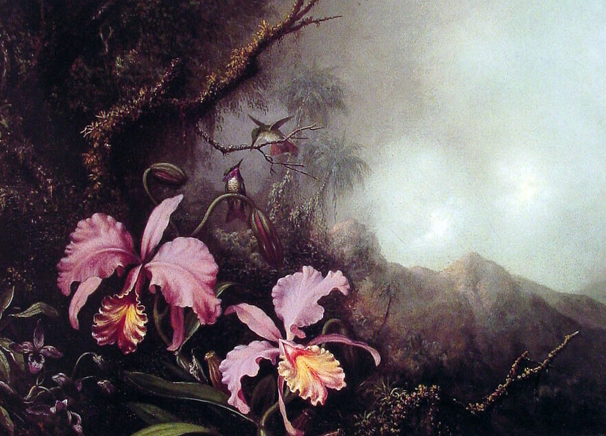 Martin Johnson Heade Two Orchids in a Mountain Landscape - Hand Painted Oil Painting