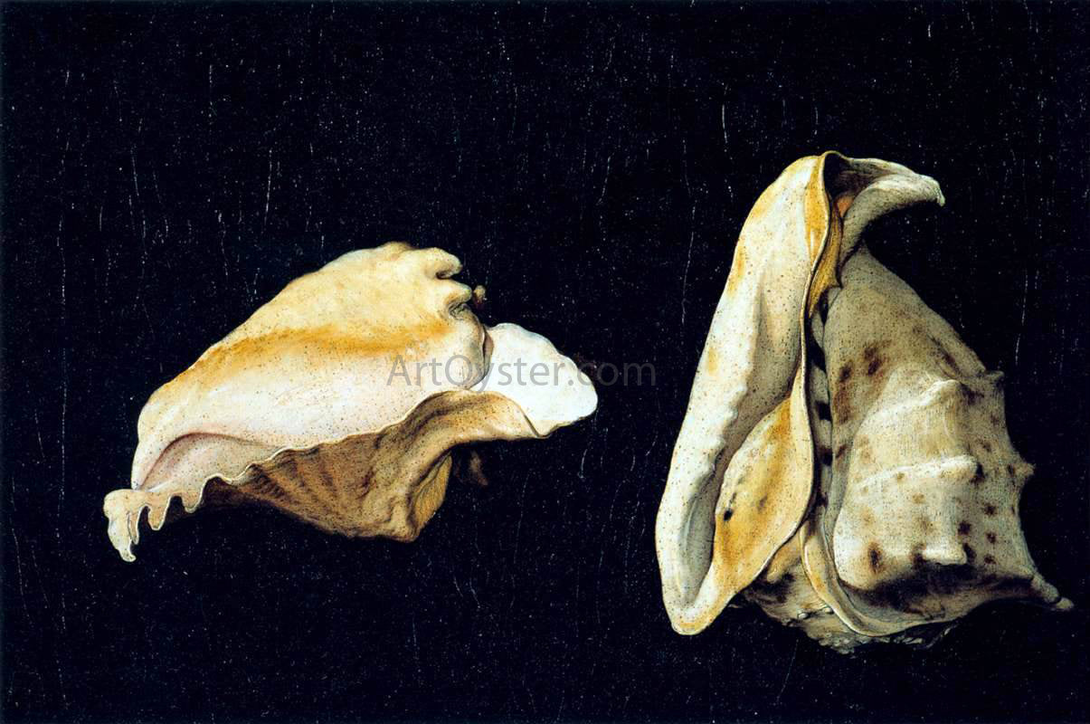 Filippo Napoletano Two Shells - Hand Painted Oil Painting