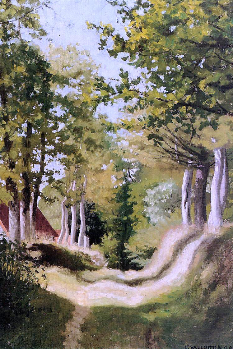Felix Vallotton Undergrowth - Hand Painted Oil Painting