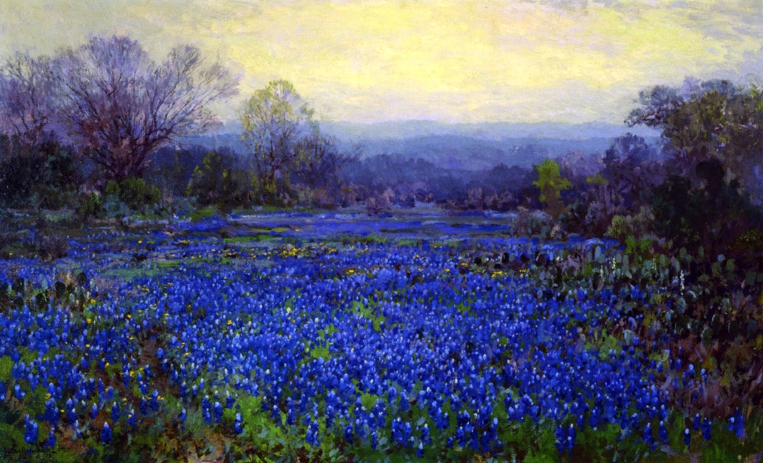  Julian Onderdonk Untitled (also known as Field of Bluebonnets) - Hand Painted Oil Painting