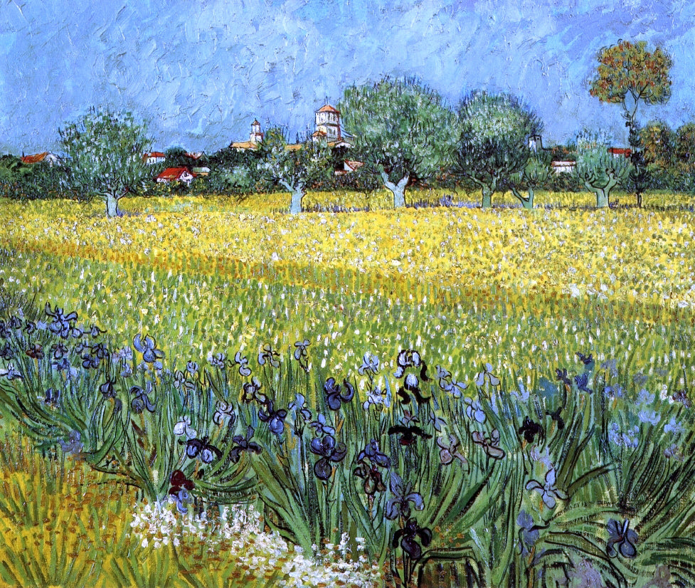 Vincent Van Gogh View of Arles with Irises - Hand Painted Oil Painting