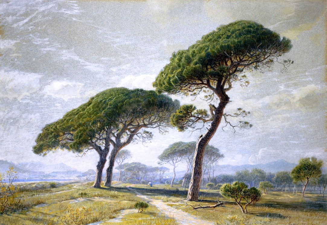  William Stanley Haseltine View of Cannes with Parasol Pines - Hand Painted Oil Painting