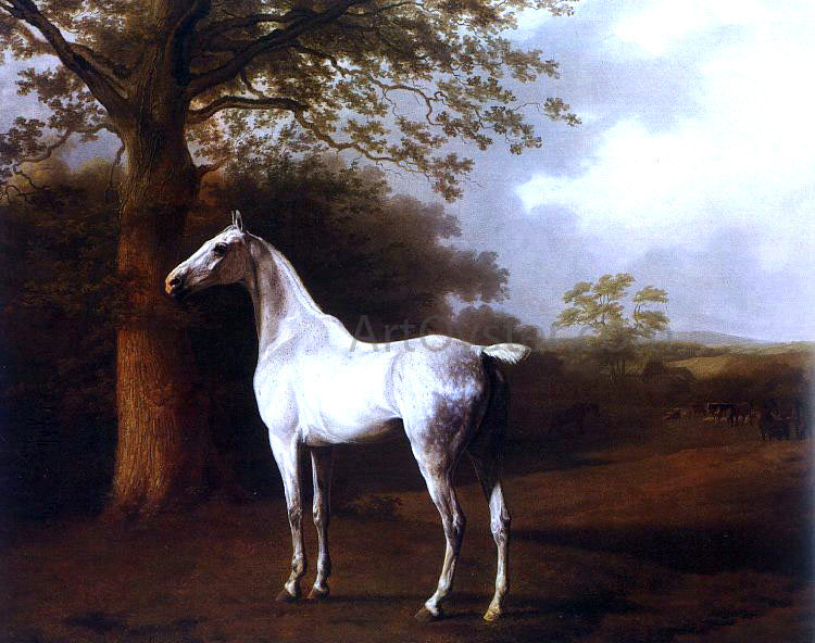 Jacques-Laurent Agasse White Horse in Pasture - Hand Painted Oil Painting