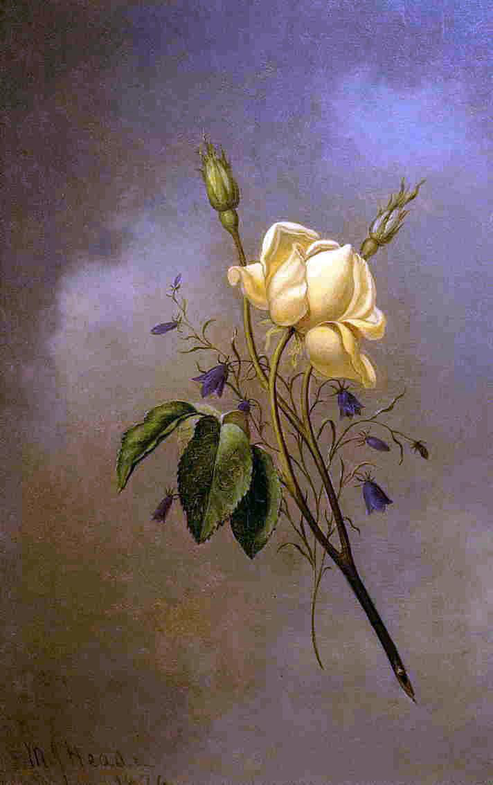 Martin Johnson Heade White Rose against a Cloudy Sky - Hand Painted Oil Painting