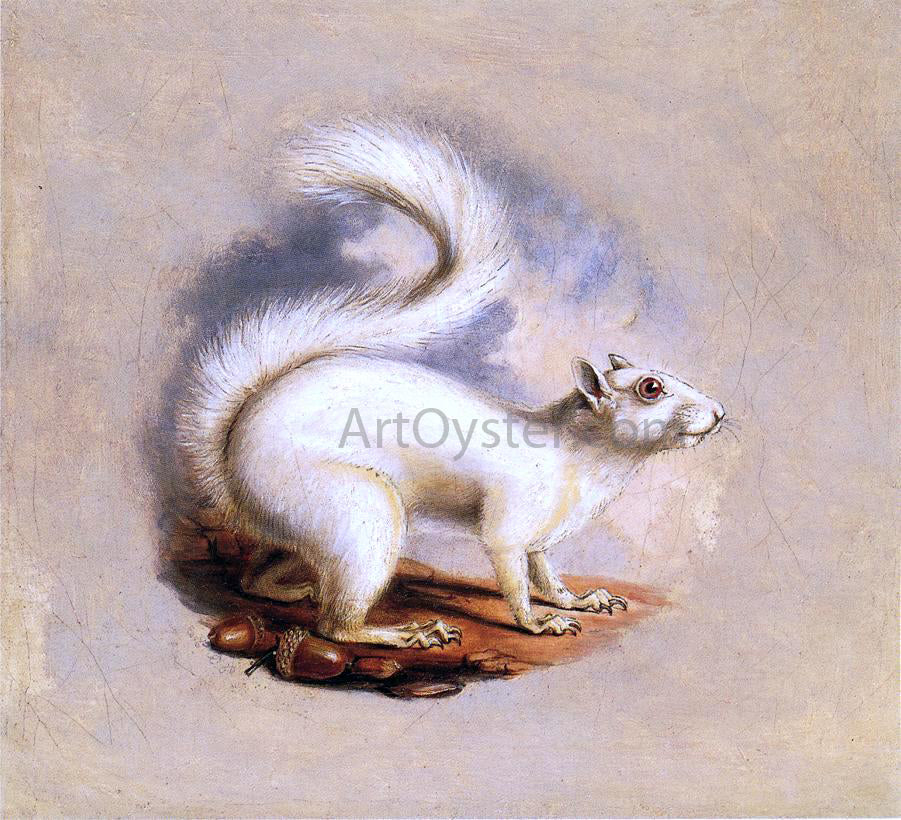 II Titian Ramsey Peale White Squirrel - Hand Painted Oil Painting